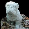 CobbGardens.com
BullDog 2
Concrete Lawn Ornament Statuary
No Finish