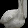 CobbGardens.com
Classic Pelican
Concrete Lawn Ornament Statuary
White Wash Finish