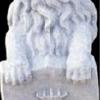 CobbGardens.com
Lion Regal w/Shield
+/- 32" XLARGE
Concrete Lawn Ornament Statuary
White Wash Finish