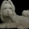CobbGardens.com
Dog Shih Tsu
Concrete Lawn Ornament Statuary
No Finish