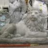 CobbGardens.com
Lions Right
Concrete Lawn Ornament Statuary
White Wash Finish